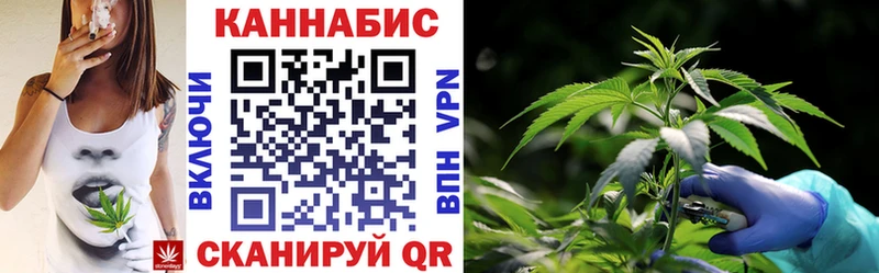 Марихуана план  Купить где  Альметьевск 